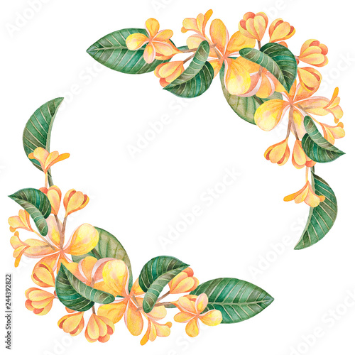 Illustration of watercolor hand drawn frame with orange flowers and green leaves isolated on white background. With space for your text. Wedding invitations  greeting cards  postcards. 