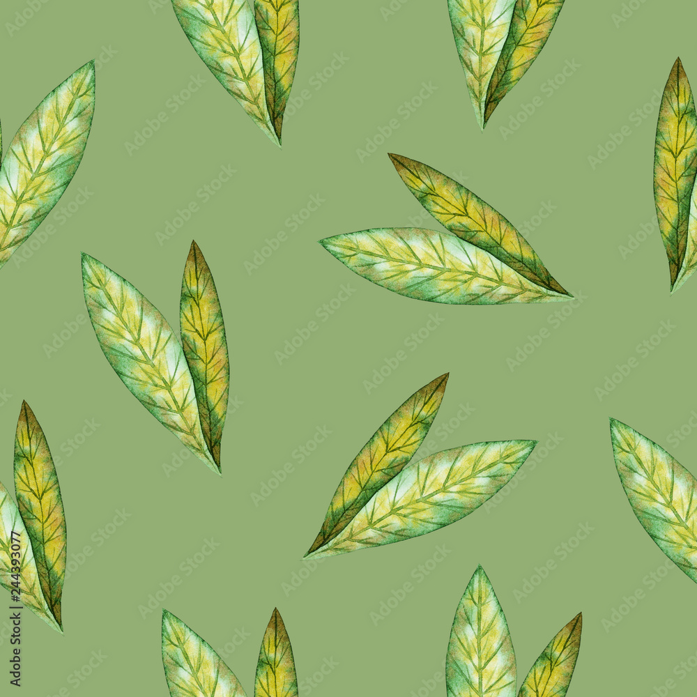 Illustration of watercolor hand drawn pattern with colorful green leaves. Summer, Spring or Autumn background.