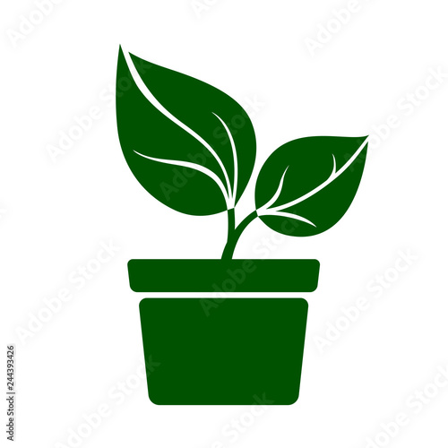 Icon of green plant. Sprout with green leaves in pot. Vector Illustration