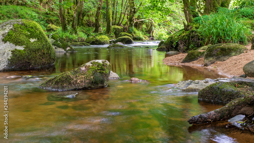 Long exposure landscape with a river flowing and rocks covered in green moss. Tranquil forest scene in Wicklow Mountains  Ireland  with Glencree River slow moving through green trees.
