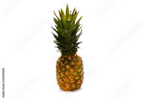 Single whole pineapple isolated on white background