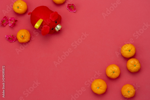 Chinese language mean rich or wealthy and happy.Table top view Lunar New Year & Chinese New Year concept background.Flat lay orange and pig doll toy kid with cherry blossom on modern red paper.