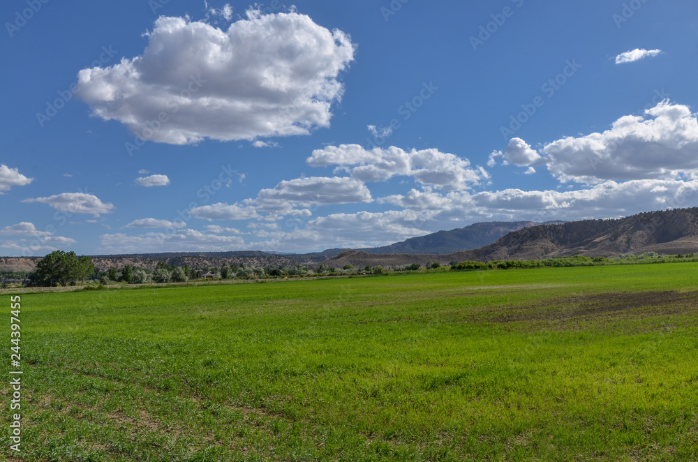 green farming field in Tropic Valley Garfield county, Utah