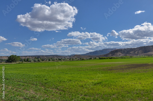 green farming field in Tropic Valley Garfield county, Utah © ssmalomuzh
