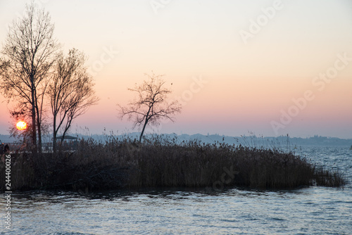 Beautiful sunset on the lake with a profile of trees and reeds. Sun on the horizon with sunset. Colorful sky with clouds in the evening. Quiet tranquil lake at nature concept. © Roza_Sean