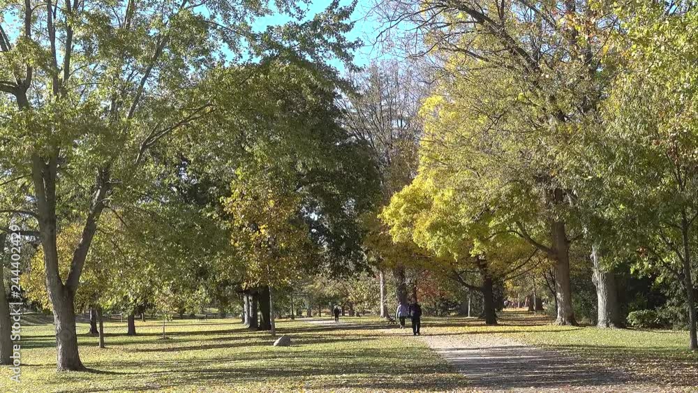 People Walking Through Park On Autumn Day Hd Zoom And Pan Out People Walking Through Park On Autumn Day Hd Zoom And Pan Out
