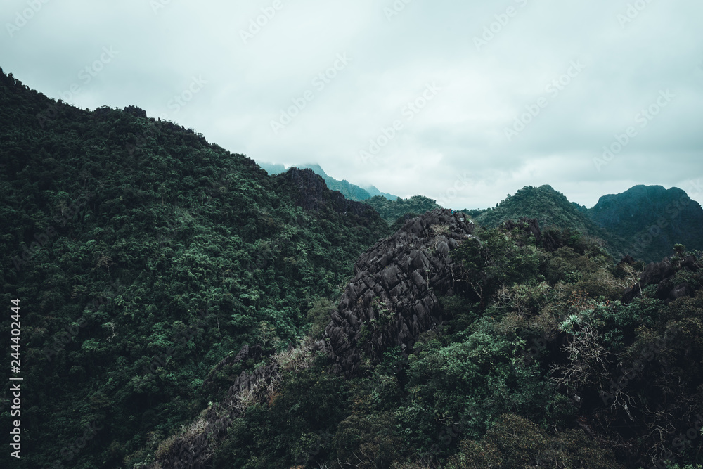 Forest landscape travel scene on top of the mountain with cloudy.