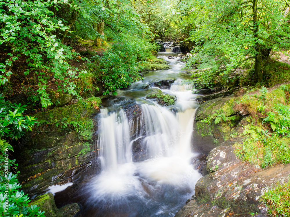 Forest stream with waterfalls in Killarney national park Ireland