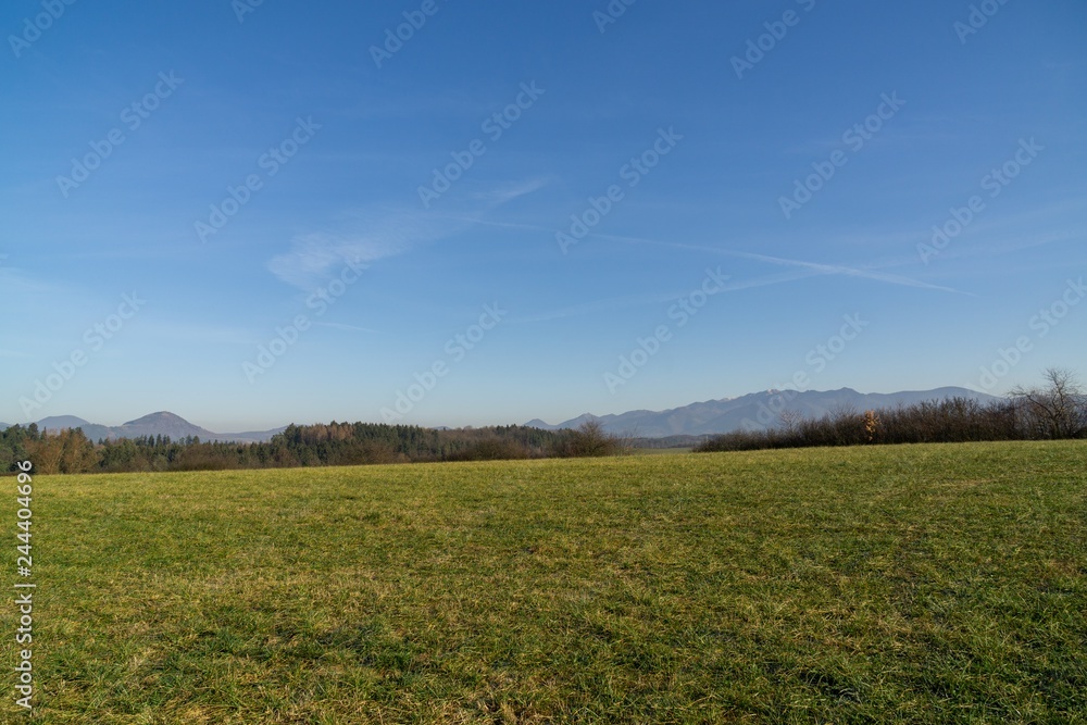 Sunny day on meadow with trees and views. Slovakia	