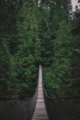 Fototapete Khaki Lynn Canyon Hängebrücke in Vancouver  © Ethan