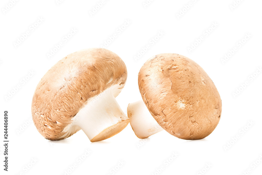Mushrooms isolated on white background champignons. Mushrooms isolated on white background champignons.