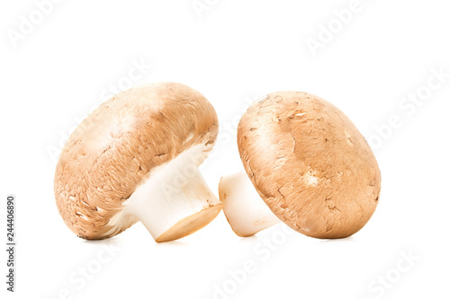 Mushrooms isolated on white background champignons.