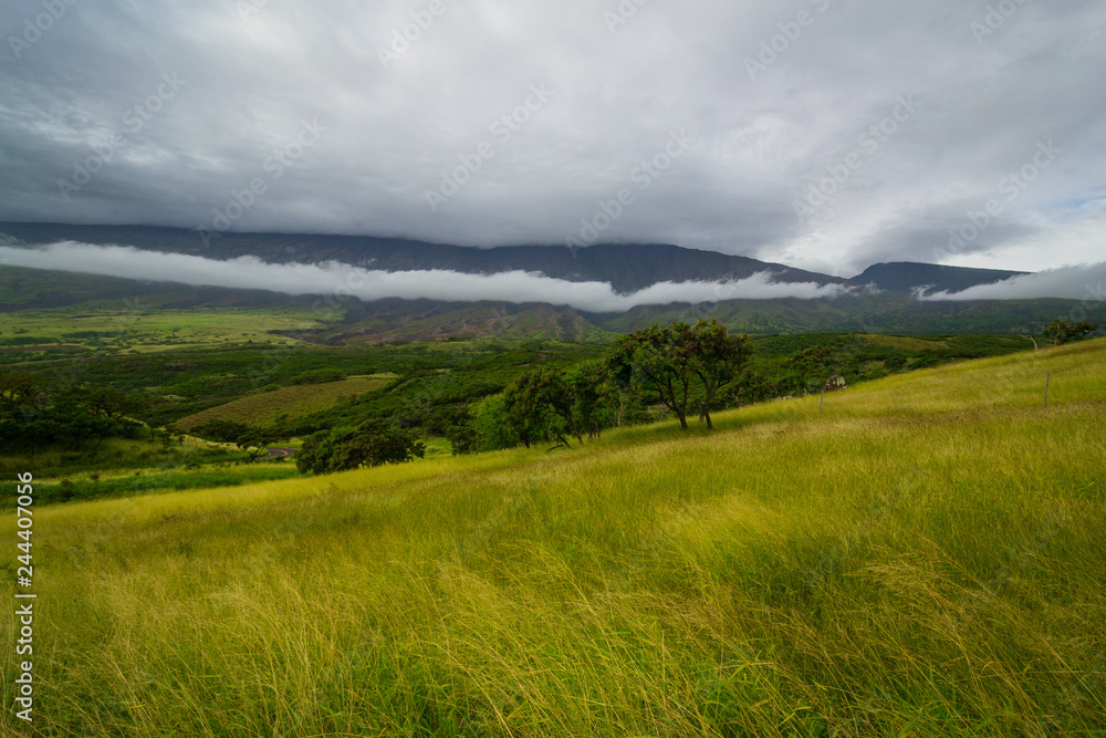 Road to Hana landscape in Maui, Hawaii