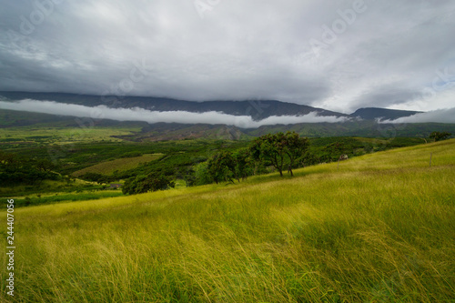 Road to Hana landscape in Maui, Hawaii © Deb