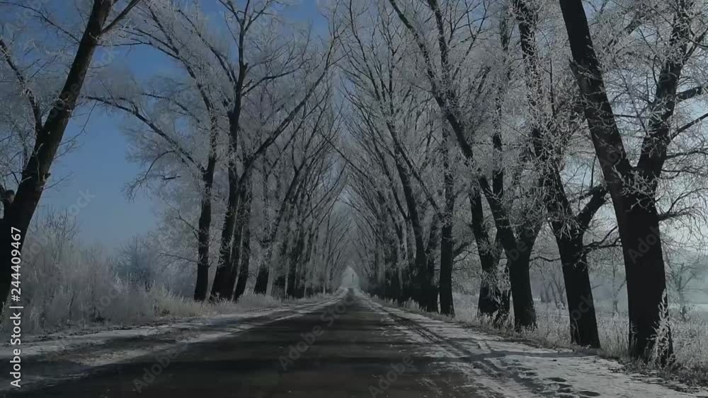 Driving on winter country road in snowy day. Driving on winter country road in snowy day.