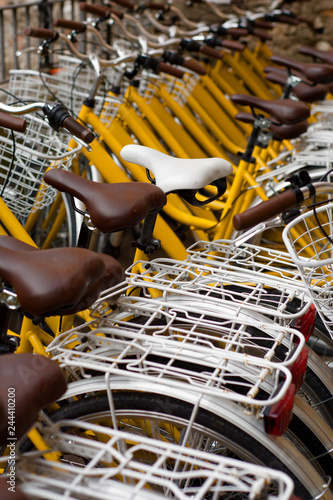 serie di biciclette per noleggio photo