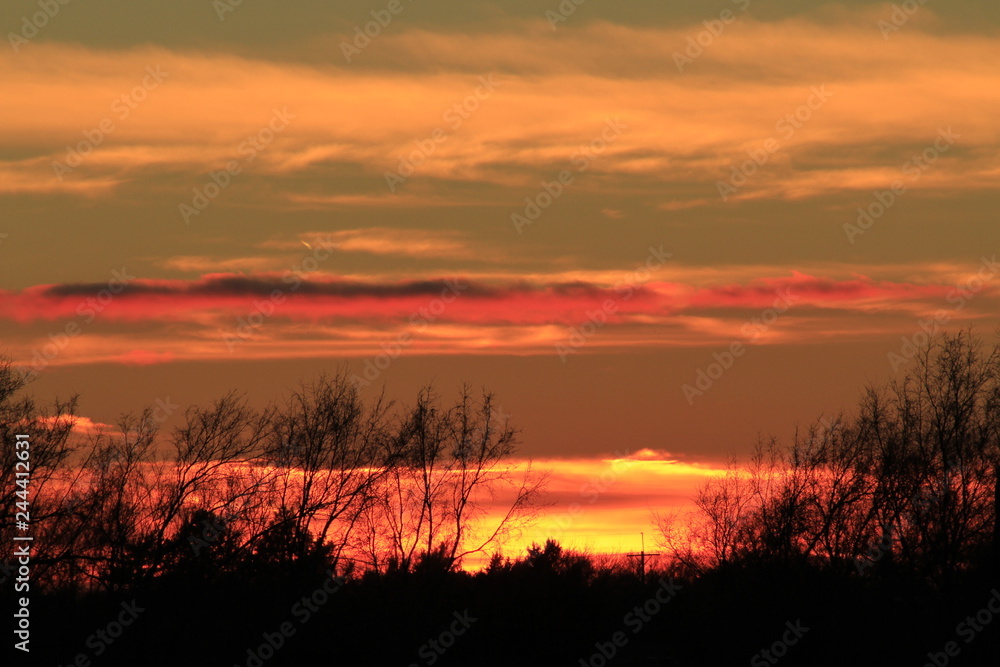 Sunset with tree silhouettes and colorful sky and clouds. Sunset with tree silhouettes and colorful sky and clouds.