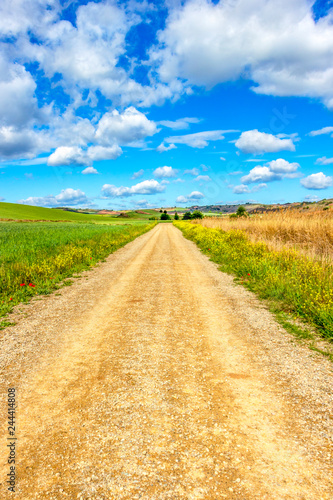 Unpaved country road on the Way of St. James, Camino de Santiago between Azofra and Ciruena in La Rioja, Spain under a beautiful May sky photo
