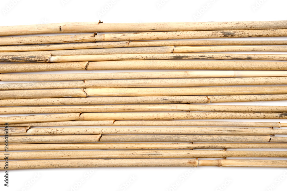 Dried reeds isolated on a white background. Dried reeds isolated on a white background.
