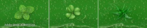 Green Drops. Mint, clover, aloe. 3d realistic vector