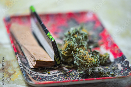 Pot Rolling Tray and Papers