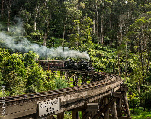 Puffing Billy train