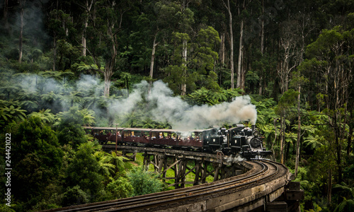 Puffing Billy train