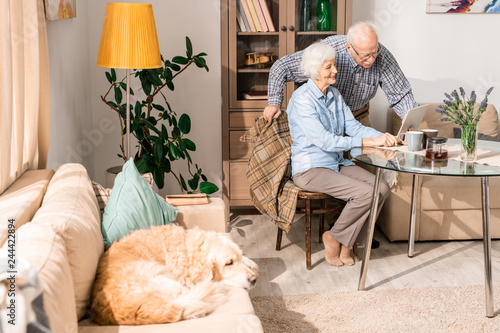 Full length portrait of modern senior couple using laptop sitting at table at home with pet dog in foreground, copy space