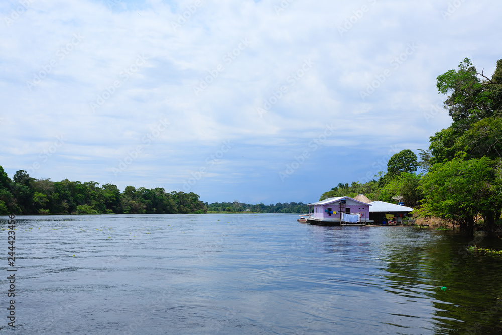 Naklejka premium Houses along Amazonas river. Brazilian panorama