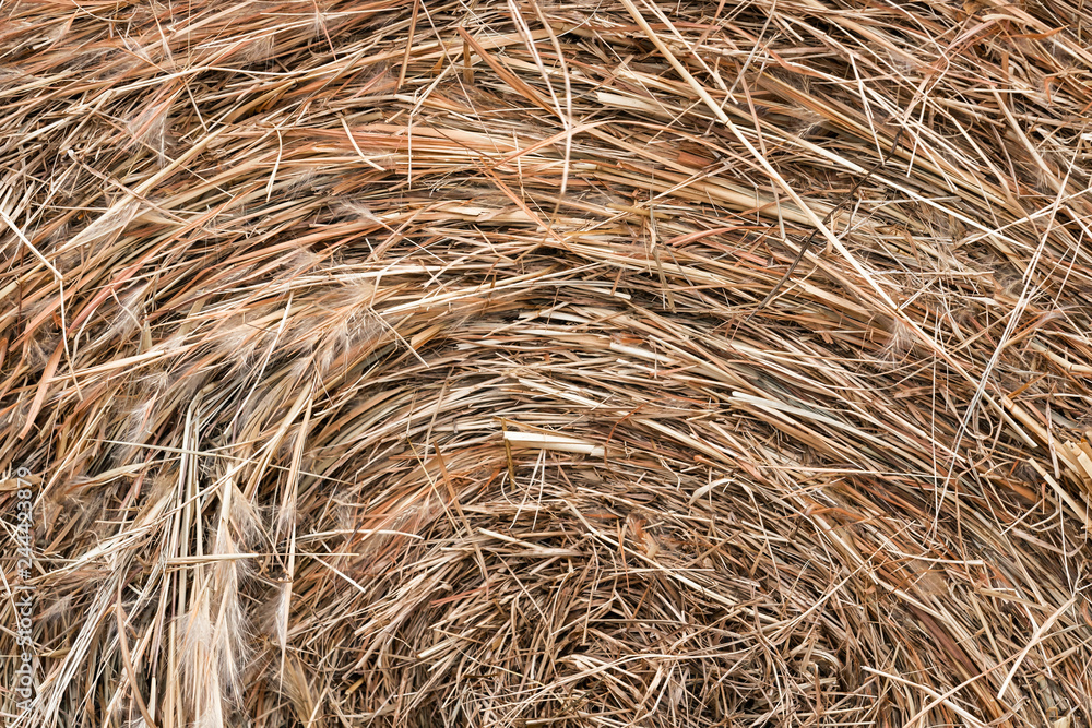 Bale of Hay close up - Background Bale of Hay close up - Background