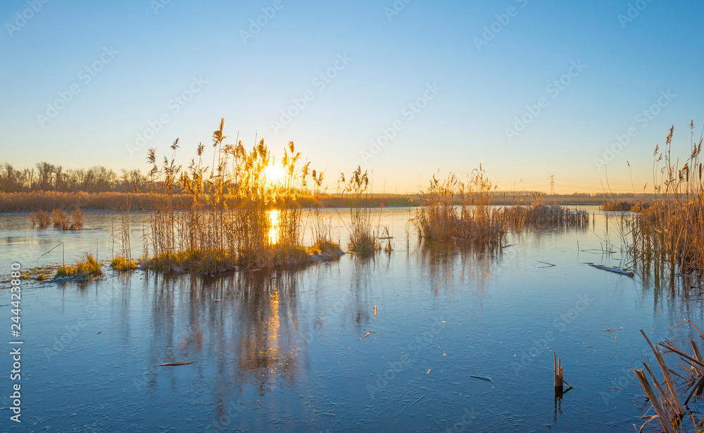 Frozen lake in the light of sunrise below a blue sky in winter