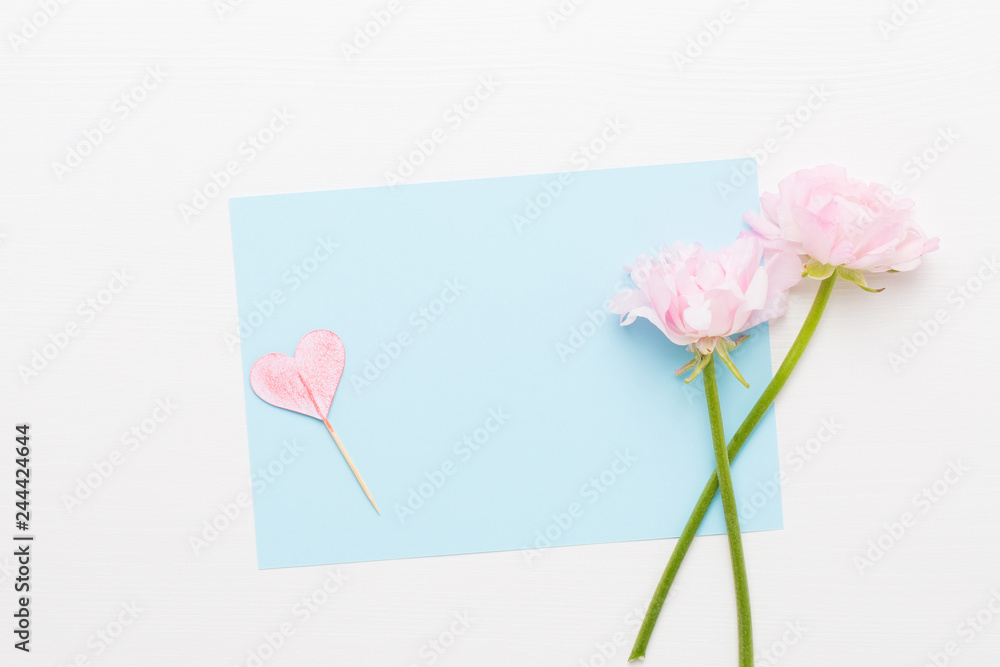 Obraz premium Beautiful colored ranunculus flowers on a white background.Spring greeting card.