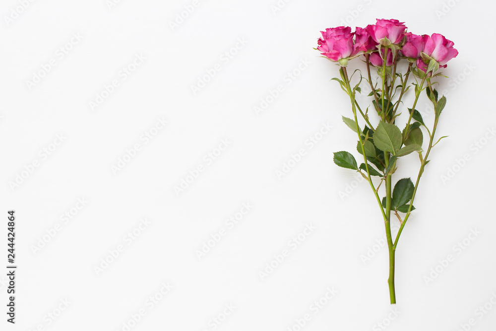 Fototapeta premium Flowers composition. Frame made of red rose on white wooden background. Flat lay, top view, copy space.