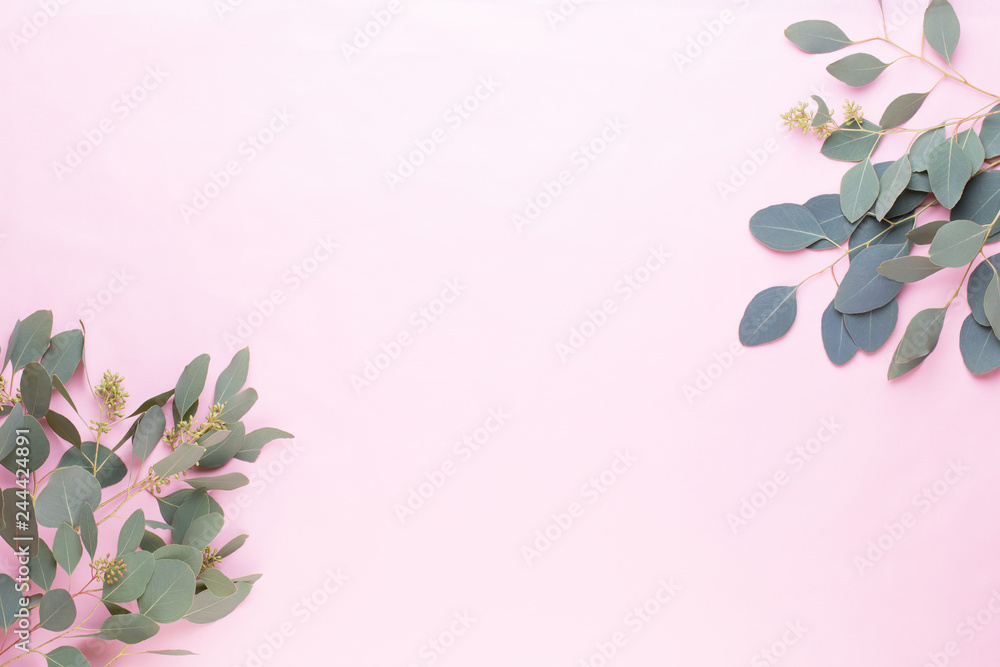 Fototapeta premium Flowers and eucalyptus composition. Pattern made of various colorful flowers on white background. Flat lay stiil life.