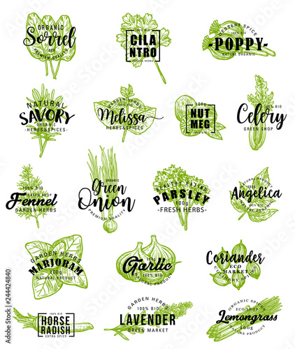 Spices and herbs icons with lettering