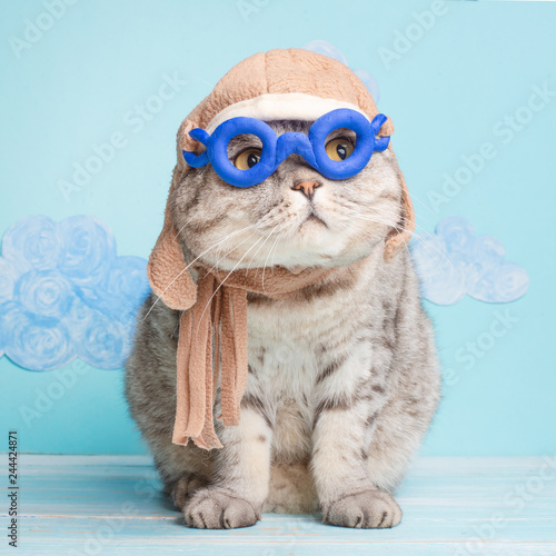 Very funny cat pilot of an airplane with glasses and a pilot's hat, against a background of clouds. A concept of funny and funny animals © Anton