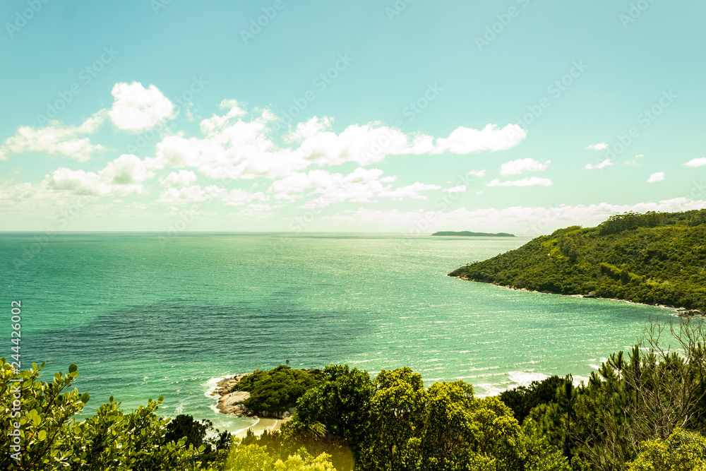 Fototapeta premium bombinhas