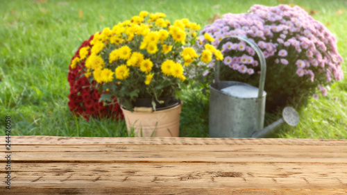 Wooden table and blurred view of garden with blooming flowers ans watering can on background. Space for text