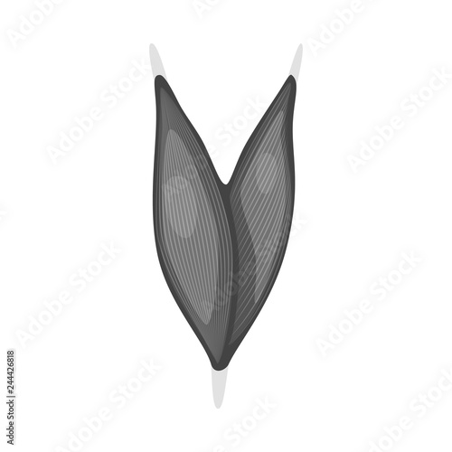 Isolated object of muscle and cells sign. Collection of muscle and anatomy vector icon for stock.