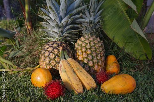 Tropical Fruits in Kauai, Hawaii
