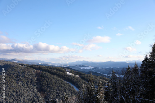 Beautiful mountain landscape with forest on sunny day in winter