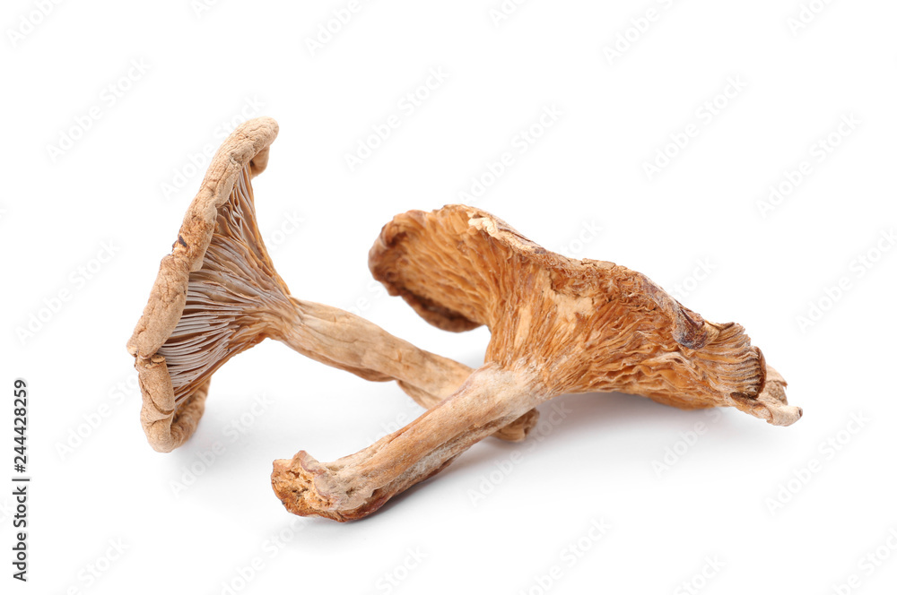Delicious organic dried mushrooms on white background Delicious organic dried mushrooms on white background