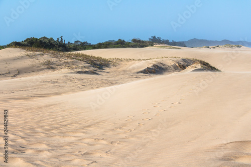 Sand dunes of St. Lucia in South Africa