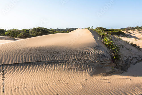Sand dunes of St. Lucia in South Africa