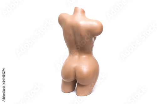 Female plastic mannequin isolated on white background. Back view