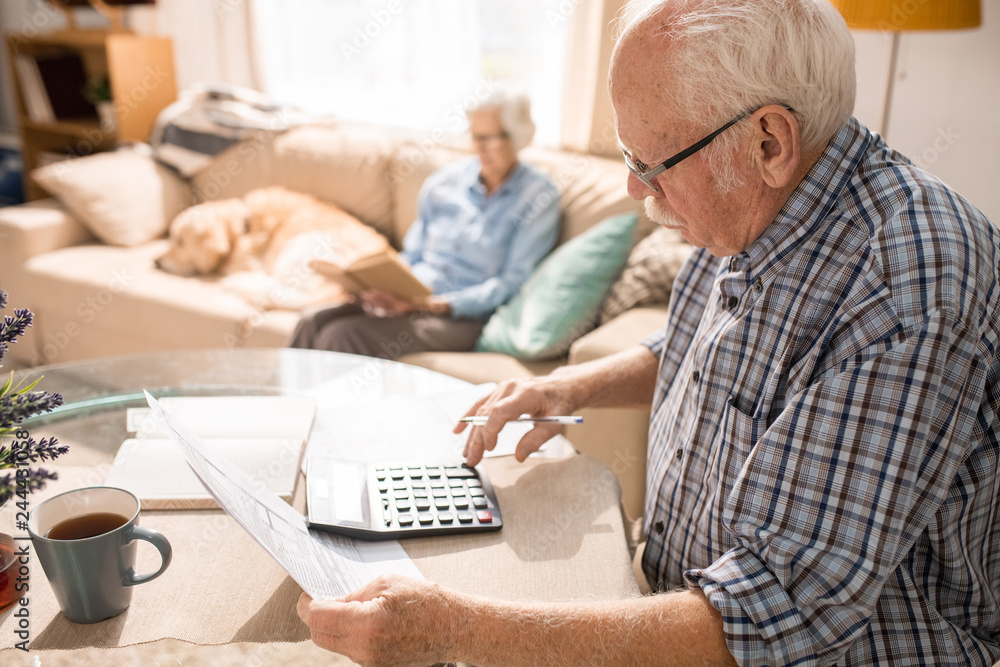 Side view portrait of senior man filling forms and paying taxes while sitting at table with elderly woman and pet dog sitting on couch in background, copy space - obrazy, fototapety, plakaty 