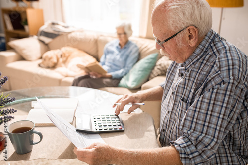 Side view portrait of senior man filling forms and paying taxes while sitting at table with elderly woman and pet dog sitting on couch in background, copy space photo