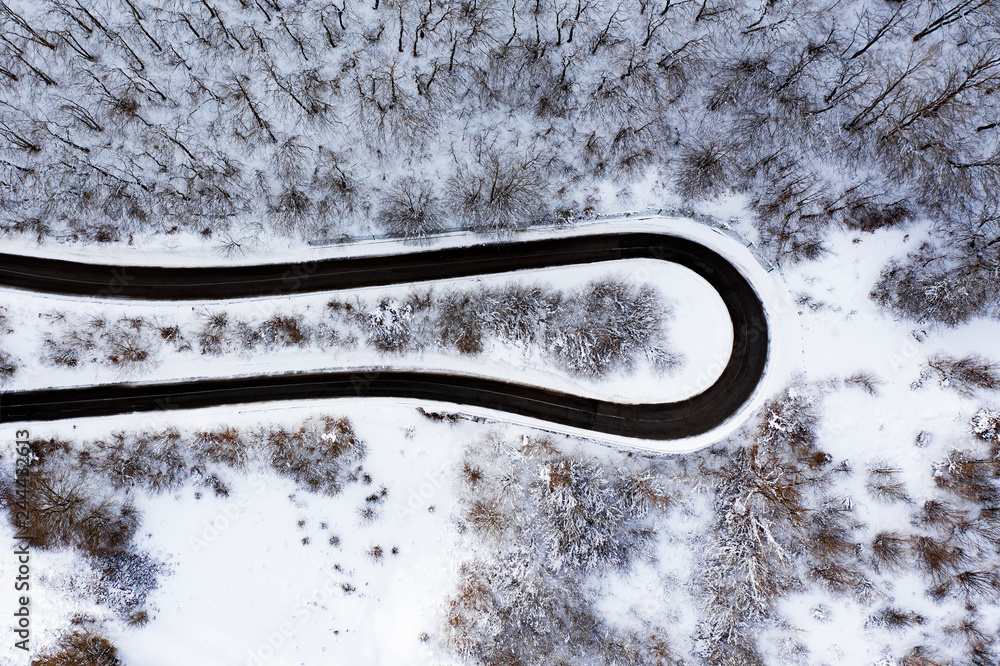 Aerial view of a beautiful serpentine road surrounded by a forest of pine trees and white snow. National Park of Abruzzo, Lazio and Molise, Italy