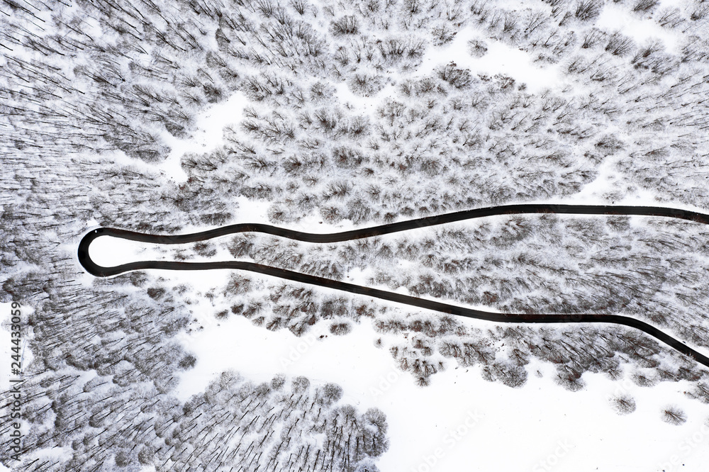Aerial view of a beautiful serpentine road surrounded by a forest of pine trees and white snow. National Park of Abruzzo, Lazio and Molise, Italy.