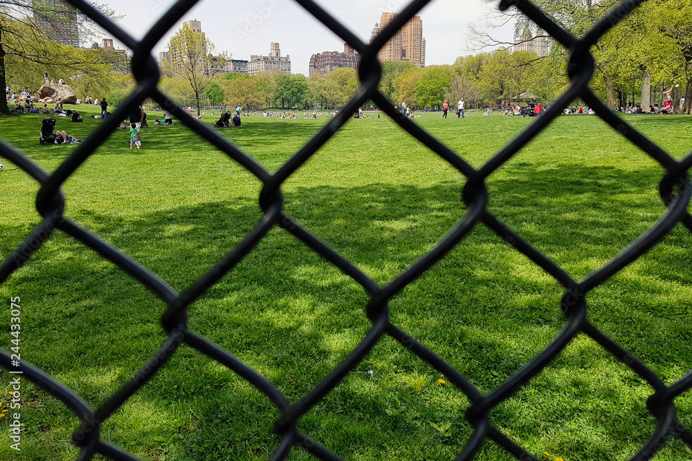 Fototapeta premium Close view of the fence in the central park on the lawn where adults and children walk. View through the iron grid to the clearing where people walk